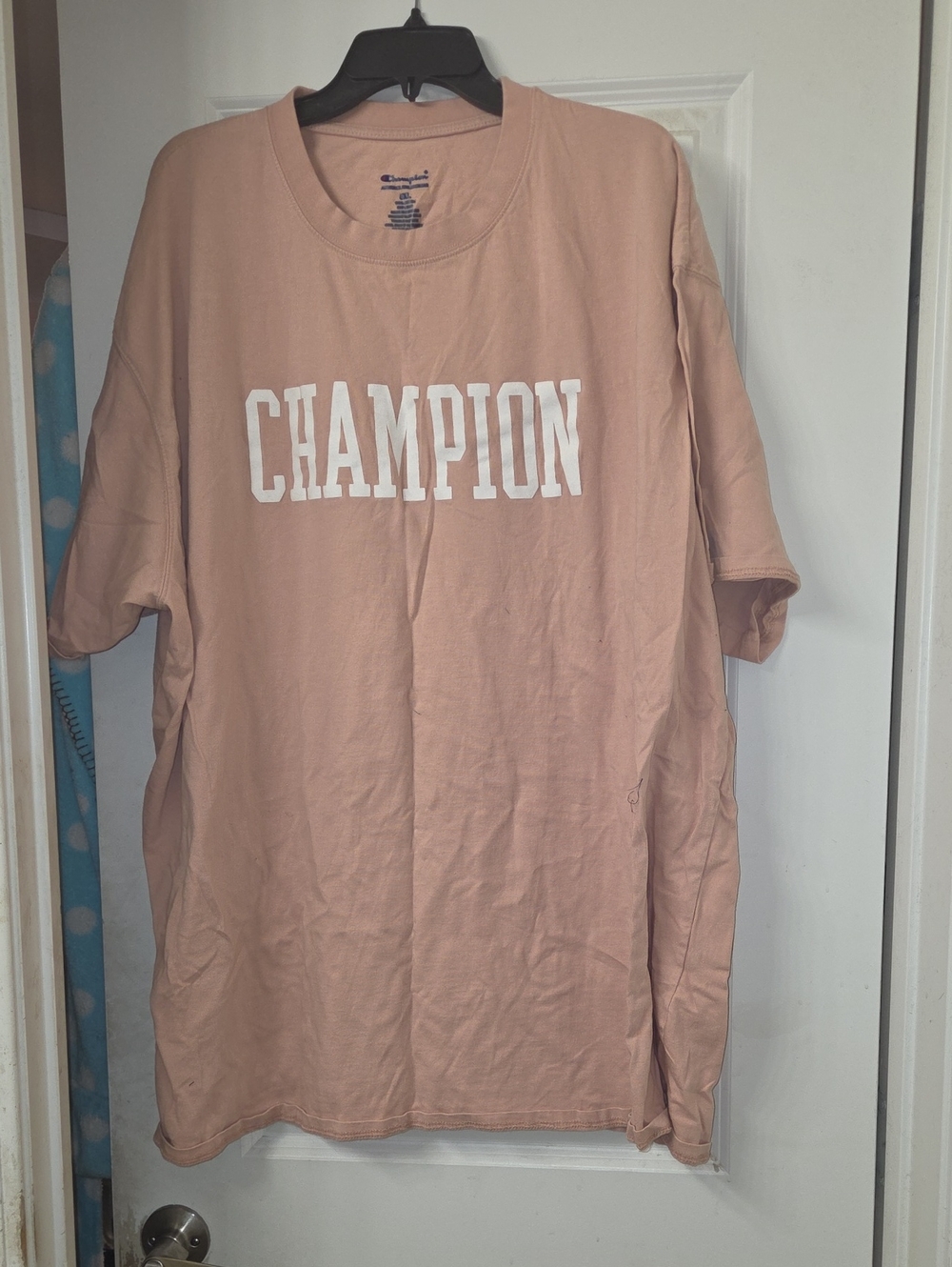 Champion Short-Sleeve Logo Tee in Dusty Rose - Picture 1 of 3